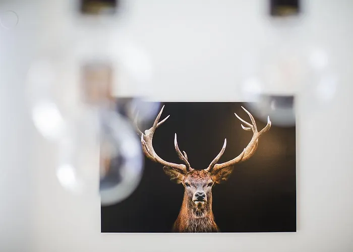 Nassfeld - Skiin-skiout Direkt An Der Piste Mit Sauna - Bergzauber9